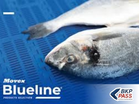 บริษัท บีเคพี พาส จำกัด